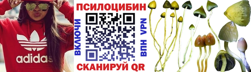 Псилоцибиновые грибы Magic Shrooms  цены   Мирный 