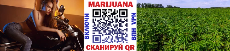 Бошки марихуана планчик  как найти закладки  darknet формула  Мирный 